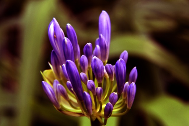 预知的变数 预知的变数