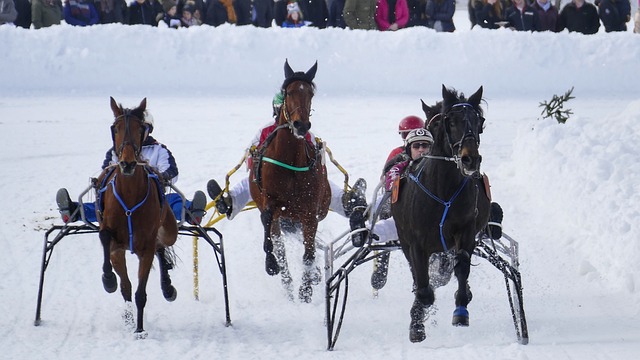 脱颖而出 脱颖而出
