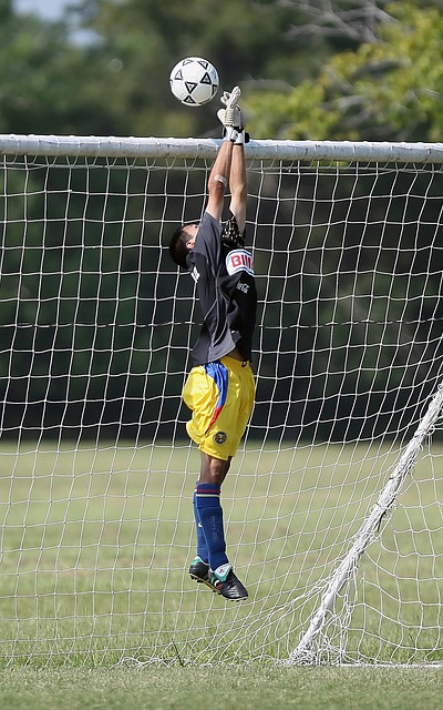 轮滑作为一 轮滑作为一