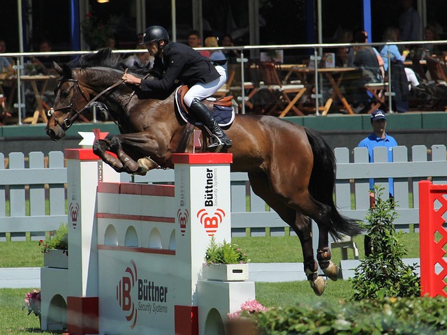 火箭将有望 火箭将有望