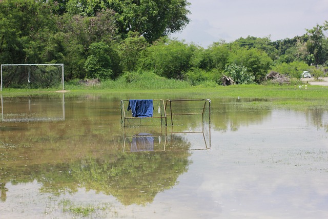 灵活的脚步 灵活的脚步
