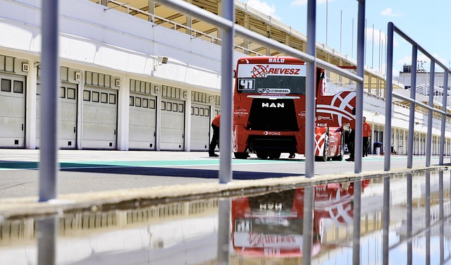 他的第一粒 他的第一粒