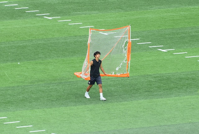 见的联赛